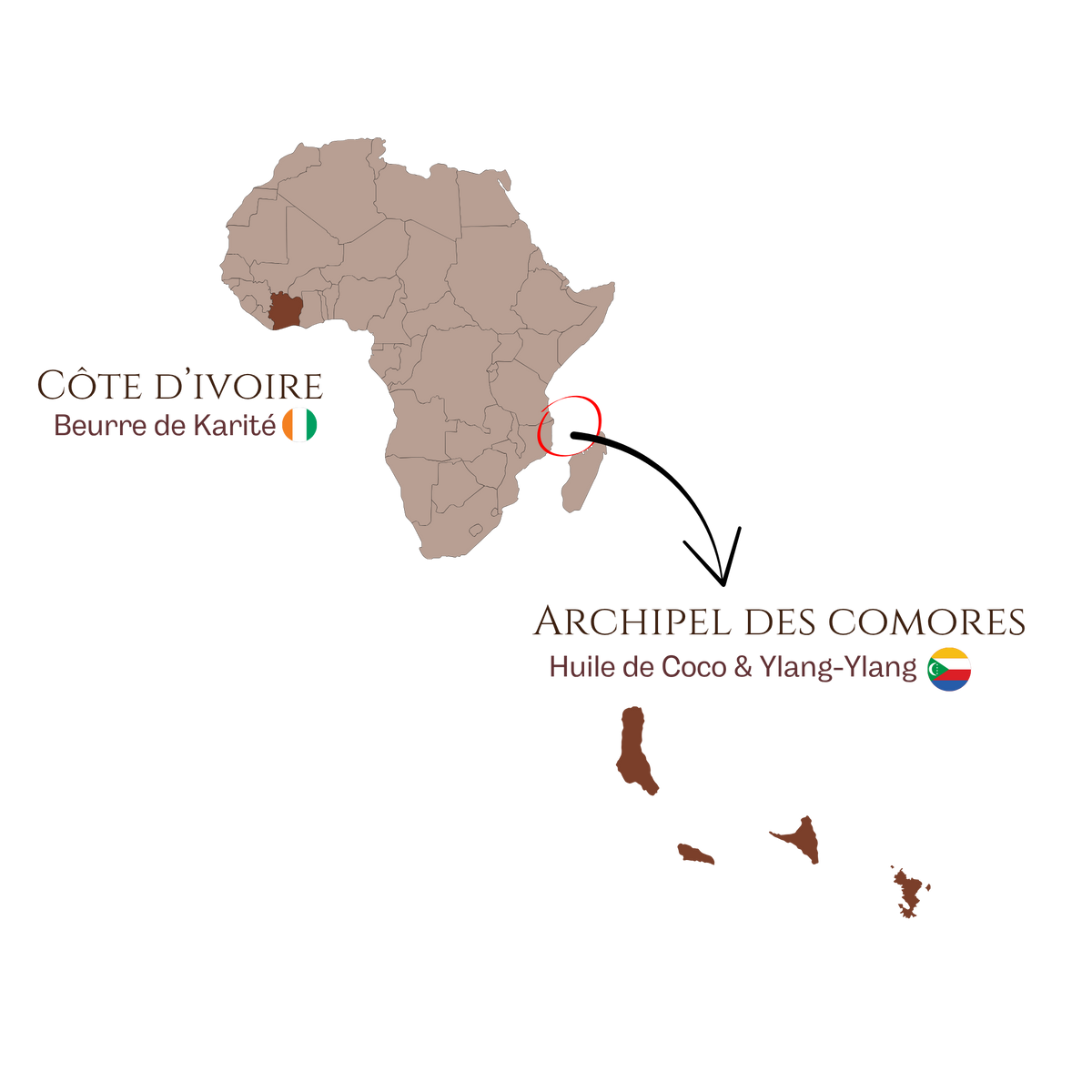 Carte des origines : Côte d'Ivoire pour le beurre de karité, archipel des Comores pour l'huile de coco et l'ylang-ylang