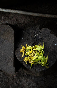Ylang-ylang